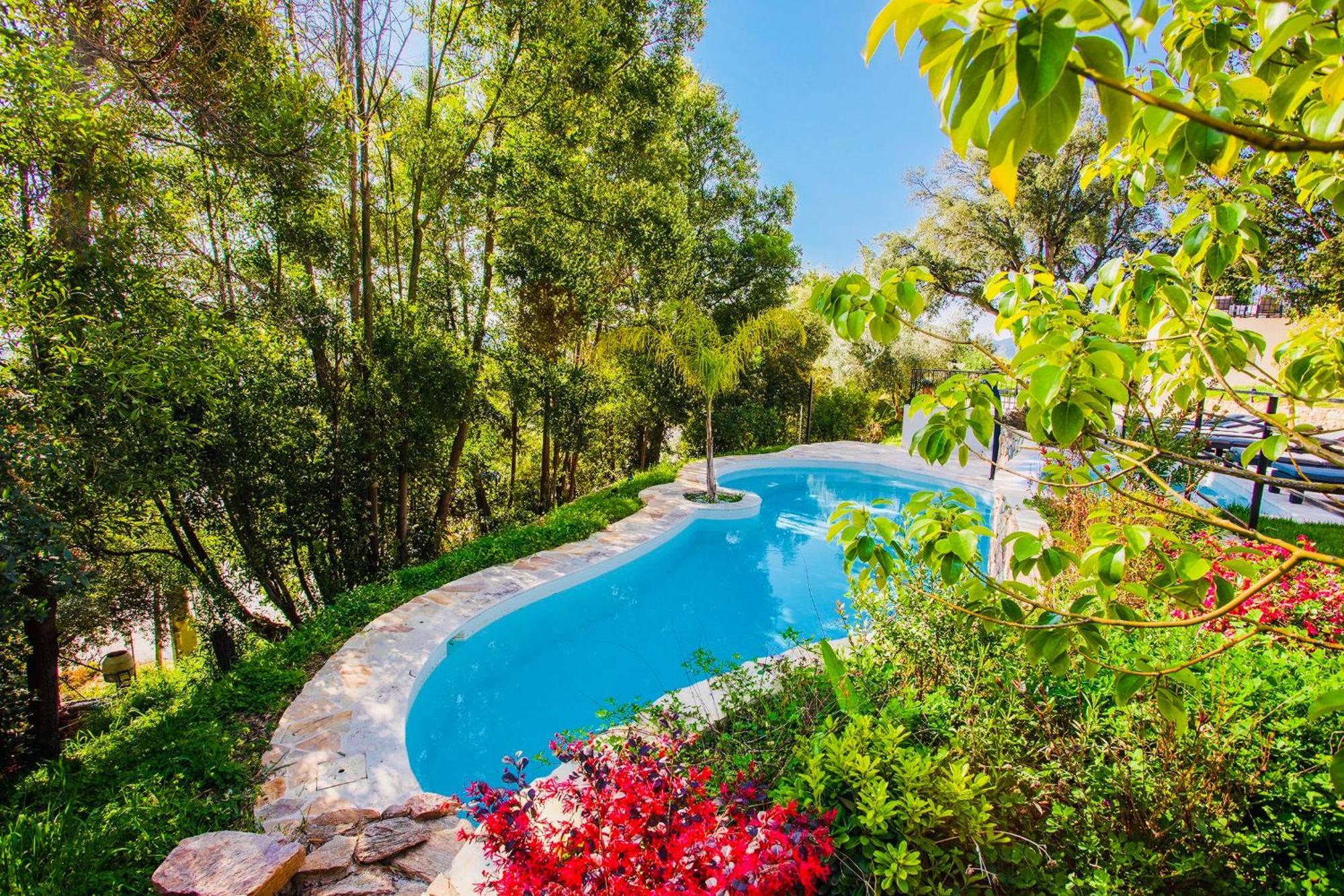 Villa Les Roches มองเดอลิเยอลานาปูล ภายนอก รูปภาพ